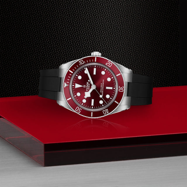 TUDOR Black Bay 58