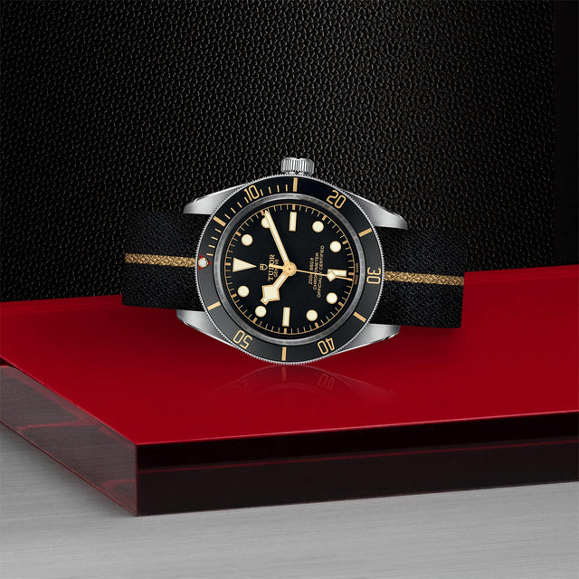 TUDOR Black Bay Fifty Eight M79030N 0003 Layingdown