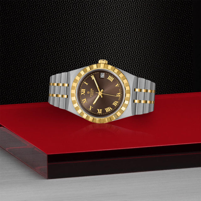 tudor m28403 0008 in store laying down