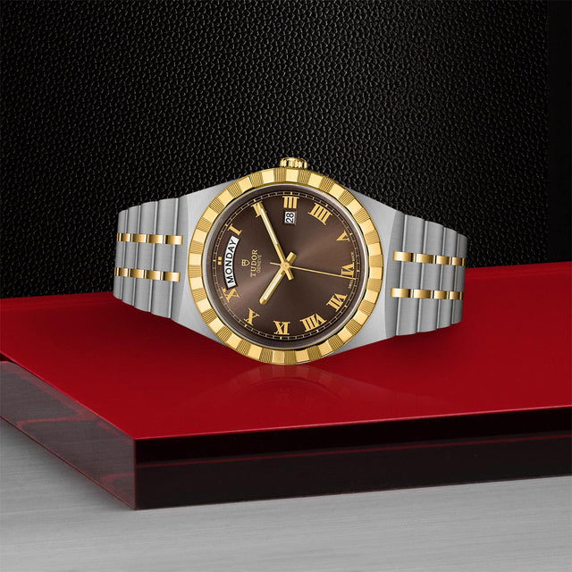 tudor m28603 0007 in store laying down