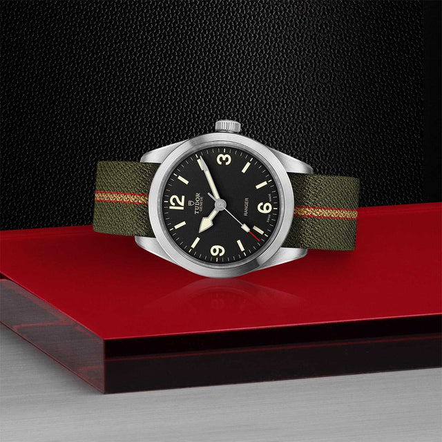 tudor m79950 0003 in store laying down