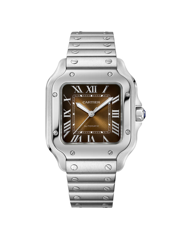 Santos de Cartier watch
