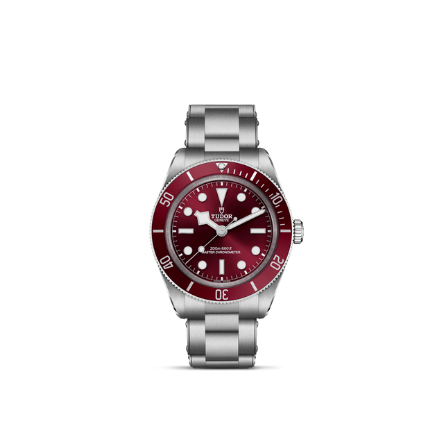 TUDOR Black Bay 58