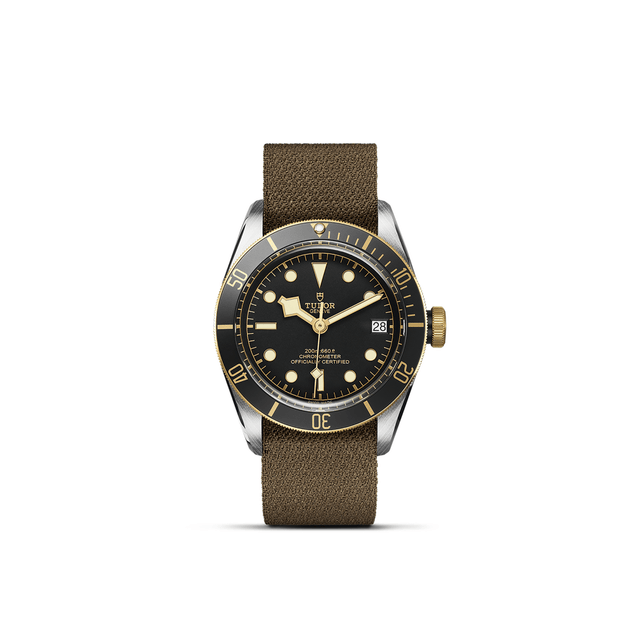 TUDOR Black Bay S&G