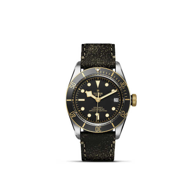 TUDOR Black Bay S&G